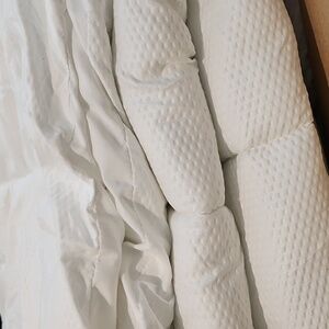 Daisy Fuentes king bedding